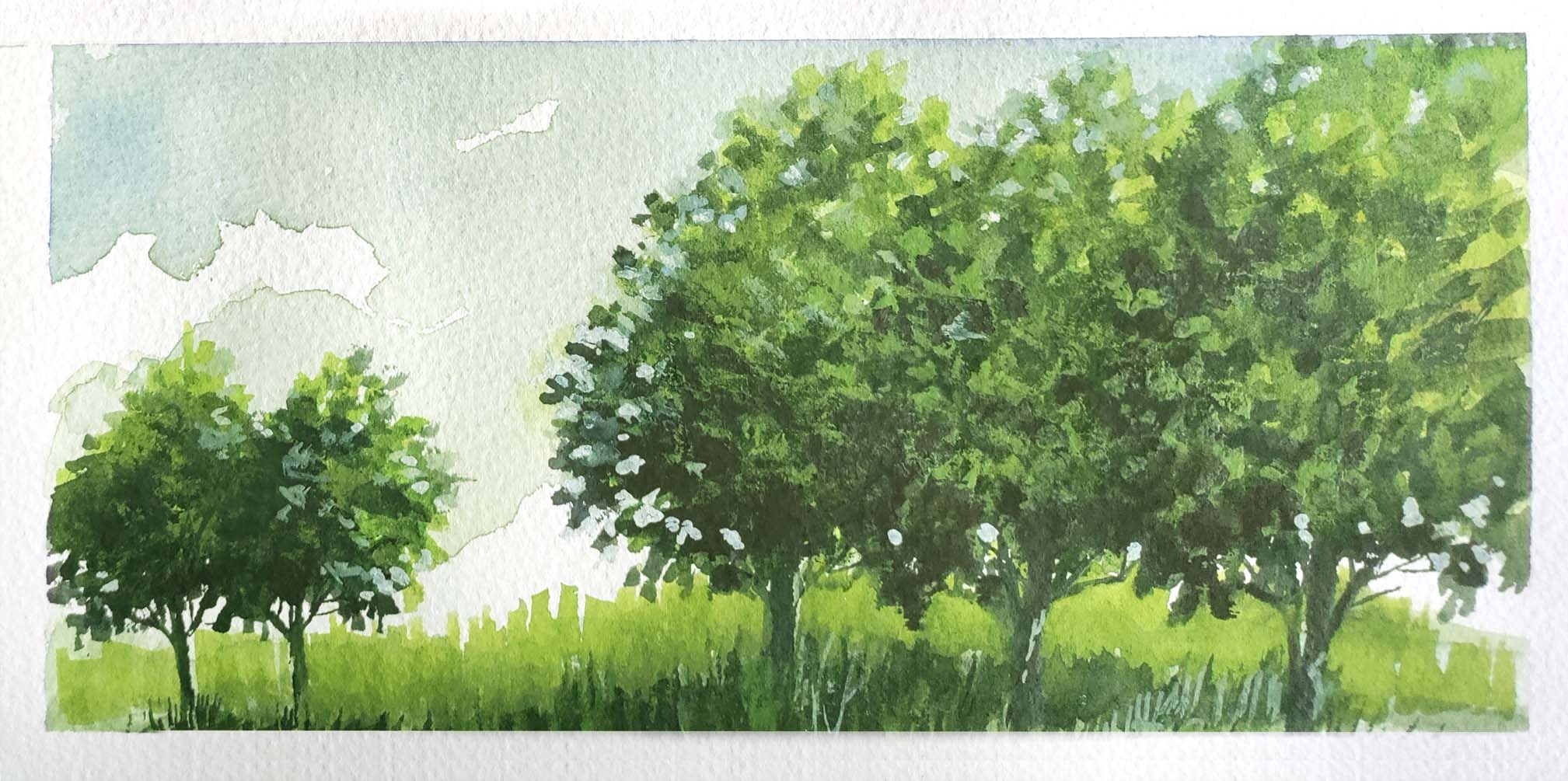 vesiv&auml;rity&ouml;